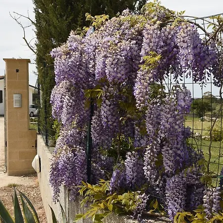 Caleddha לינה וארוחת בוקר Corigliano dʼOtranto